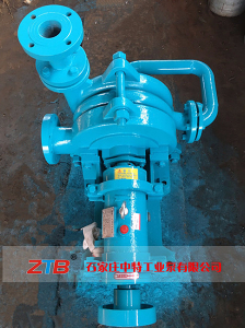 洗煤廠壓濾機專用入料泵